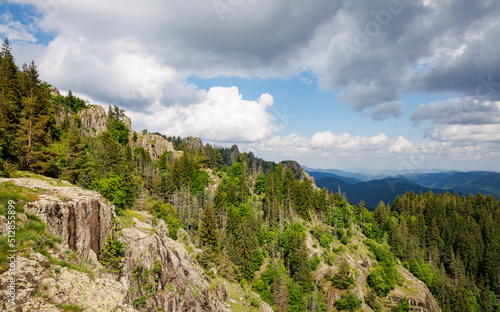 Mountain range of Rhodope Mountains covered with vegetation against the backdrop of valley covered with spruce forests