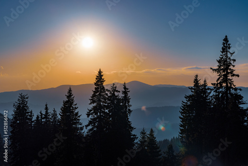 Silhouettes of fir trees in the mountainous valley of the Rhodope Mountains against the background of a sunset sky