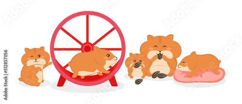 Vector illustration of cute and beautiful hamsters on white background. Charming characters in different poses winks, runs in a wheel, eats seeds, sleeps on a pillow in cartoon style.