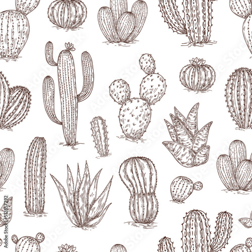 Sketch cactus seamless pattern. Black agave and cacti on pink background, mexico dessert plants hand drawn print, neoteric succulent vector texture