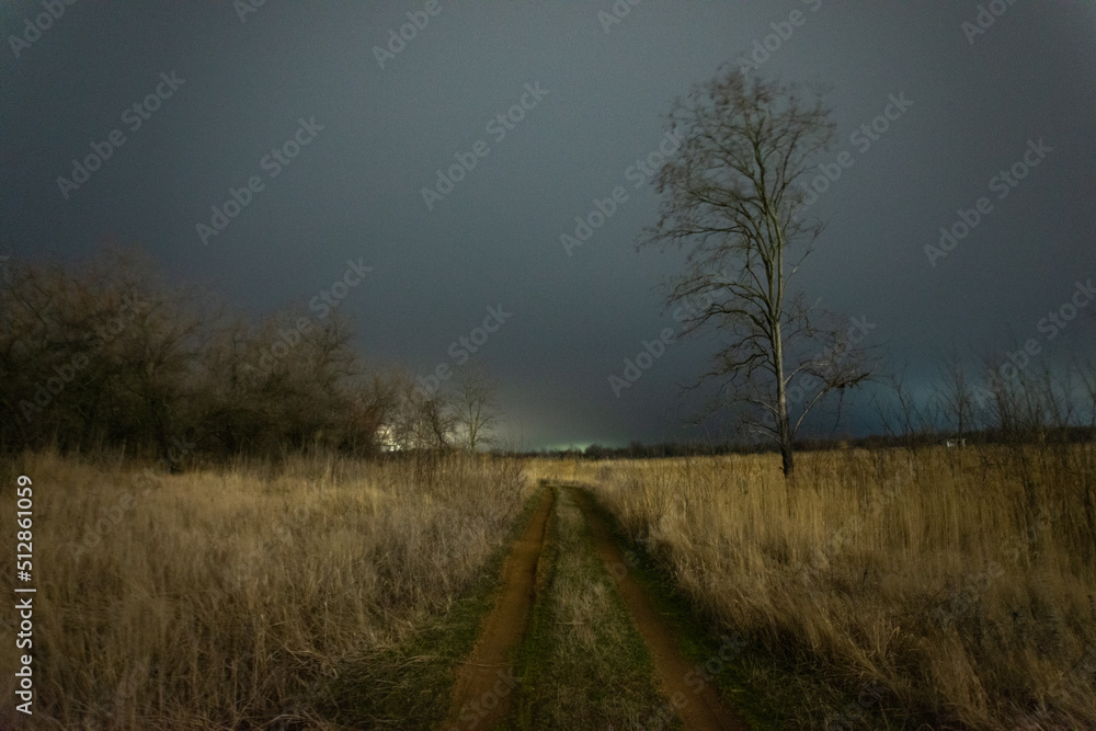 morning in the forest forest in the night . Night landscape. Nightsky and clouds . Stars in the sky . Lights of the city . morning in the forest forest in the night . Night landscape. Nightsky and clouds . Stars in the sky . Lights of the city .