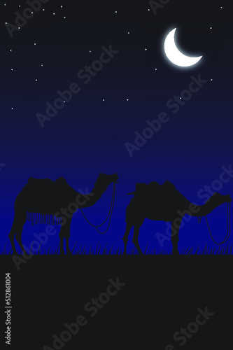camels in the desert at nioght