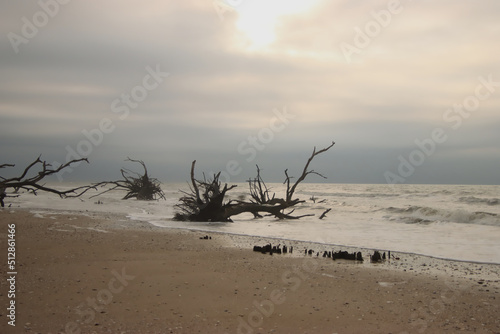 Sun Over the Driftwood Covered Beach