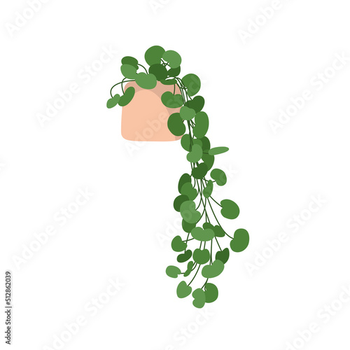 Green hanging houseplant. Home and office plant decoration. Flat vector illustration isolated on white background