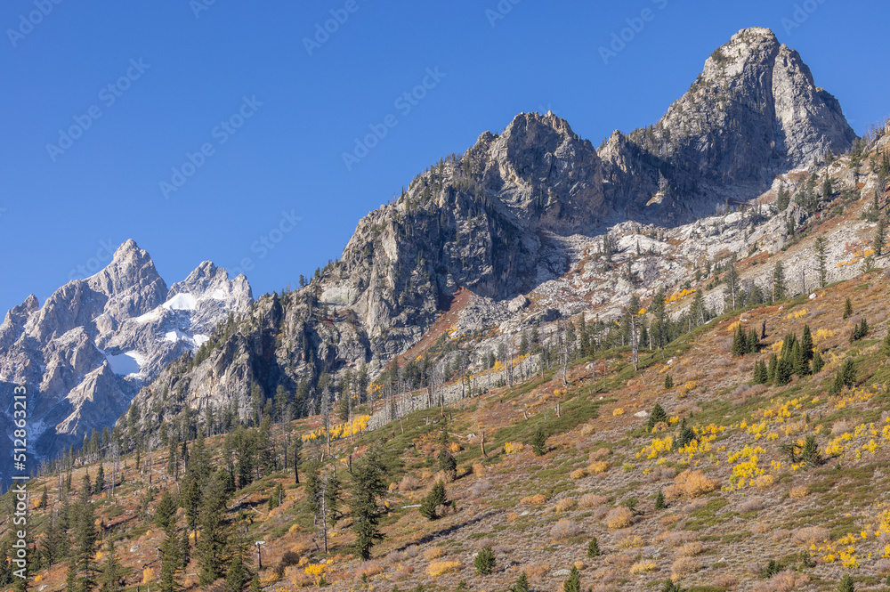 Scenic Autumn Landscape in Grand Teton National Park Wyoming in Autumn