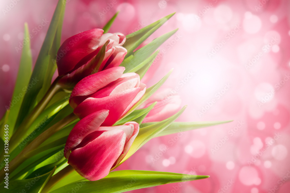 Obraz premium bouquet of tulips