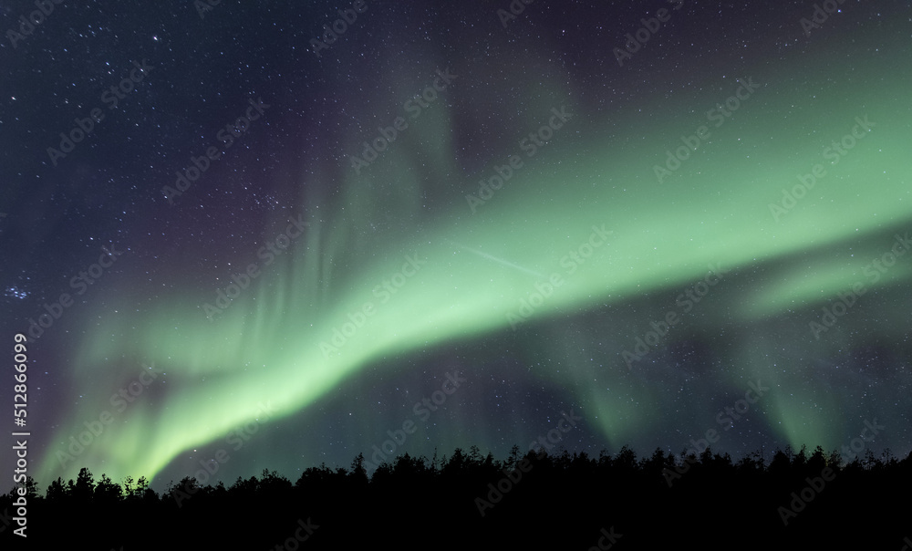 stunning photo of colorful aurora borealis (northern lights) over trees, finnish lapland night sky 