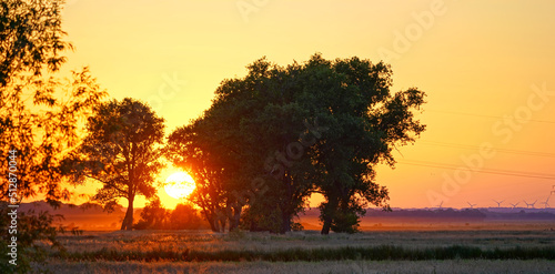 Sunset over Grassland with Trees in Northern Germany