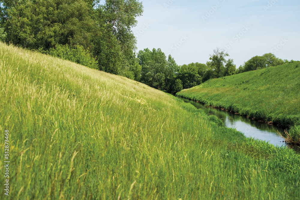 Fototapeta premium grass field