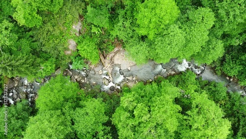 River in forest nature morning magical aerial landscape in 4k, green rainforest trees