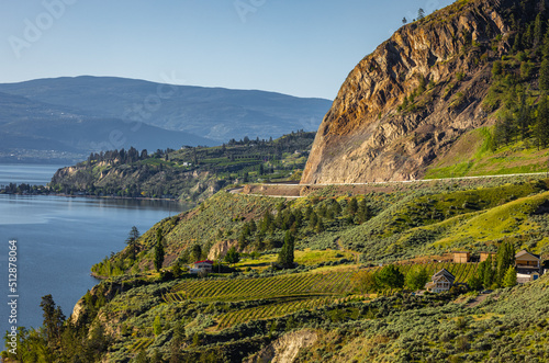 Summer Winery view of Kelowna vineyards surrounding Lake Okanagan with mountains. Sunrise in Kelowna