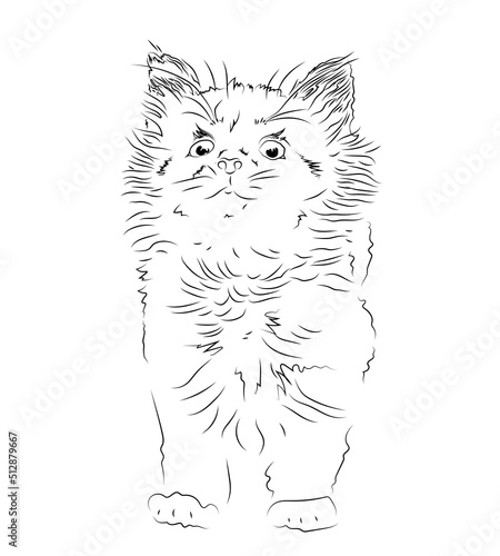 Handmade drawing of a cute kitten. Vector black and white graphics. Stylized sketch of realistic animals. Cat doodles in an abstract hand-drawn style. A kitten isolated on a white background.