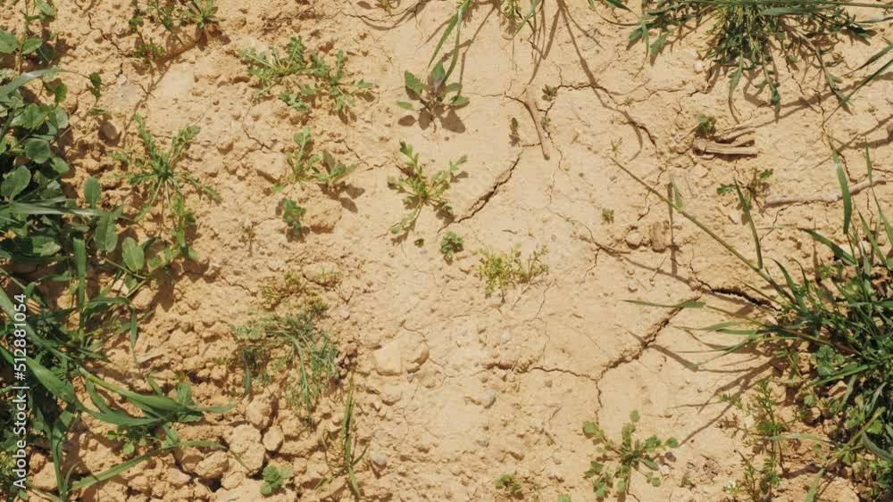 Drought soil, the ground cracks, no hot water. Drought soil, the ground cracks, no hot water.