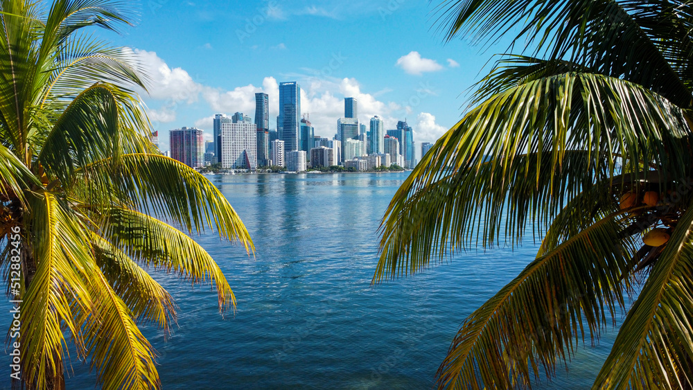 Fototapeta premium City of Miami between palm trees