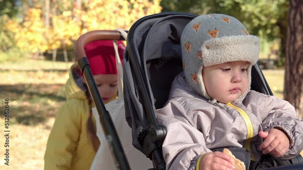 Two Little toddler kids in stroller on walk outside in fall park. Small child eats roast snack outdoors. Children spend time in autumn forest Look At Camera Cold Weather. Childhood, Family, Lunch Time Two Little toddler kids in stroller on walk outside in fall park. Small child eats roast snack outdoors. Children spend time in autumn forest Look At Camera Cold Weather. Childhood, Family, Lunch Time