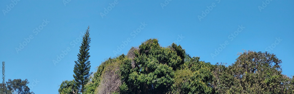 landscape horizon hill mountain quarry clear blue sky forest vegetation tree leaves nature close landscape horizon hill mountain quarry clear blue sky forest vegetation tree leaves nature close