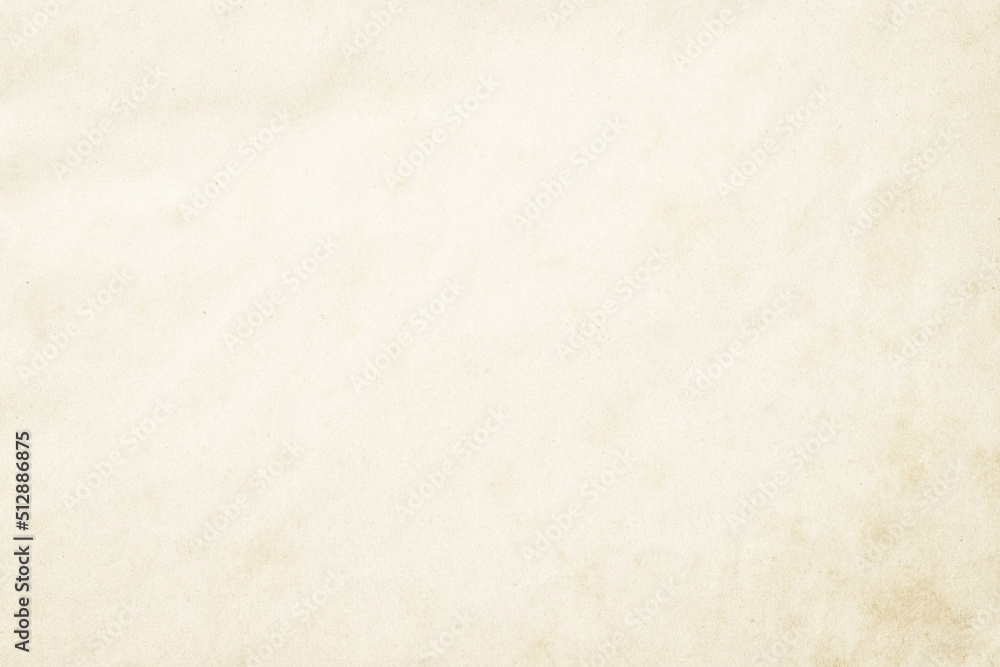 light paper texture with empty space. old parchment as background light paper texture with empty space. old parchment as background