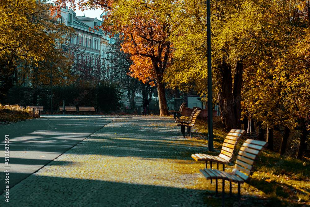 Prague city with autumn trees, benches and autumn leaves