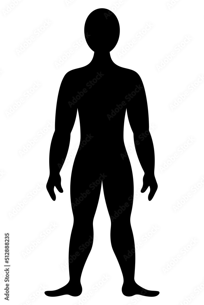 The human body. Silhouette. Vector illustration. Muscular man in full growth. Unknown person. Outline on isolated background. Medical theme. Idea for web design