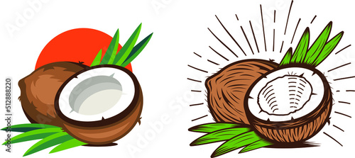 Vintage and Modern style Coconut. 
Half and full coconut fruit with sun rays. Hand drawing cocos