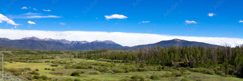 Ultrawide panorama of the Illinois River in a meadow in Medicine Bow-Routt National Forest in Colorado