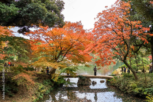 Tokyo Japan on December6 2019 Togetsukyo Bride with fall foliage at Rikugien Garden.
