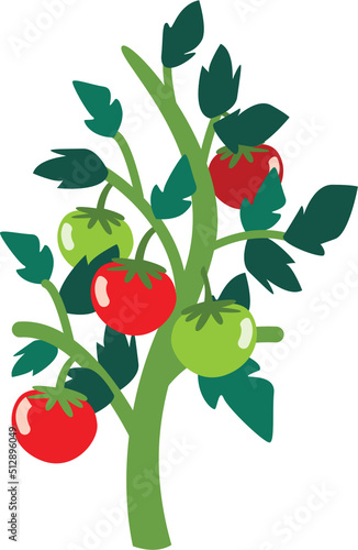Tomato Tree Cartoon Illustration