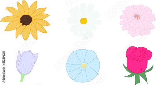 Collection of beautiful flowers with simple forms and good meanings. black-eyed susan, chamomile, zinnia, tulip, morning glory and rose. Vector illustration