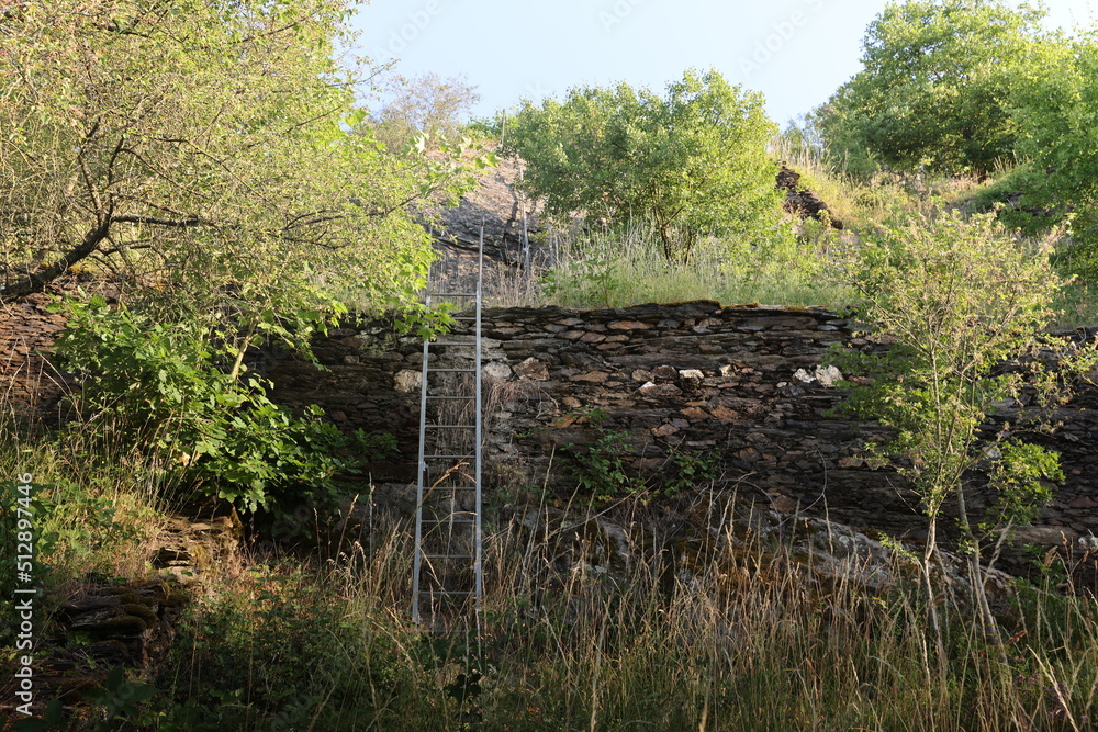 ca. 7 Meter hohe Leiter am Klettersteig Sankt Goarshausen Rheinland-Pfalz Mittelrheintal ca. 7 Meter hohe Leiter am Klettersteig Sankt Goarshausen Rheinland-Pfalz Mittelrheintal