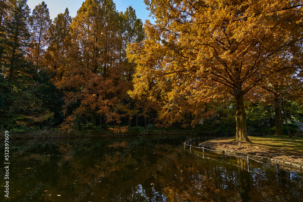 Autumn Leaves In a Park In Japan Autumn Leaves In a Park In Japan