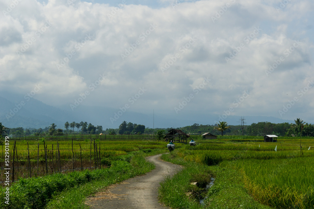 rural road infrastructure in the agricultural and rice fields sector in Indonesia