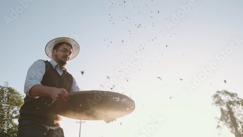 Latin farmer working in the coffee harvest on a sunny day in the field, sifting coffee beans. Cinematic 4K
