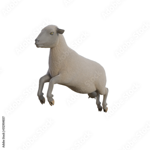 Sheep photorealistic in different poses isolated on white background. 3d rendering-illustration.