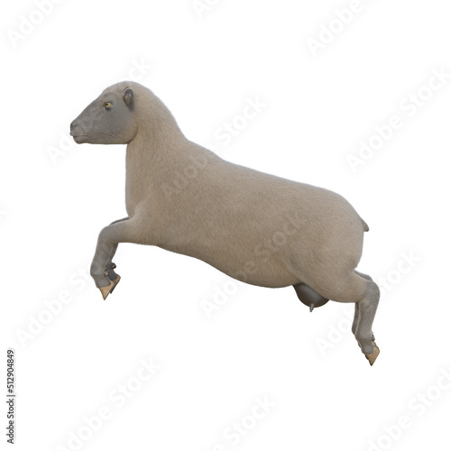 Sheep photorealistic in different poses isolated on white background. 3d rendering-illustration.