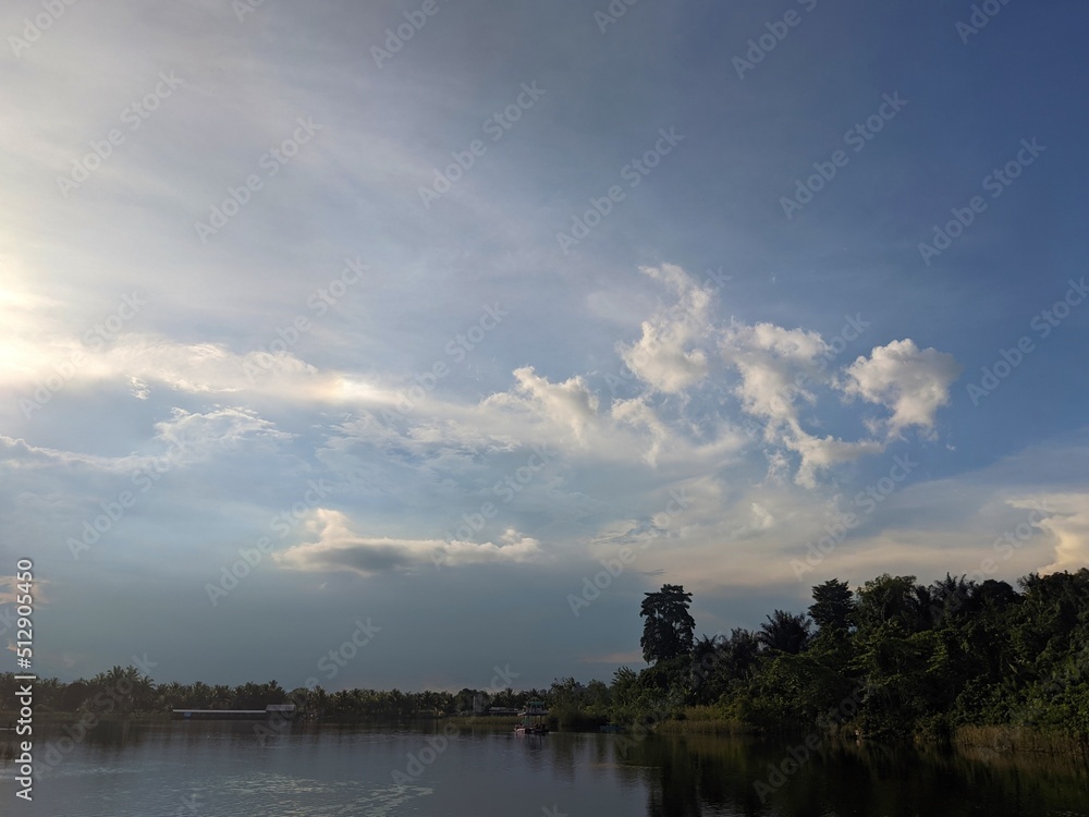 Daytime view of lake and swamp, Kalimantan forest