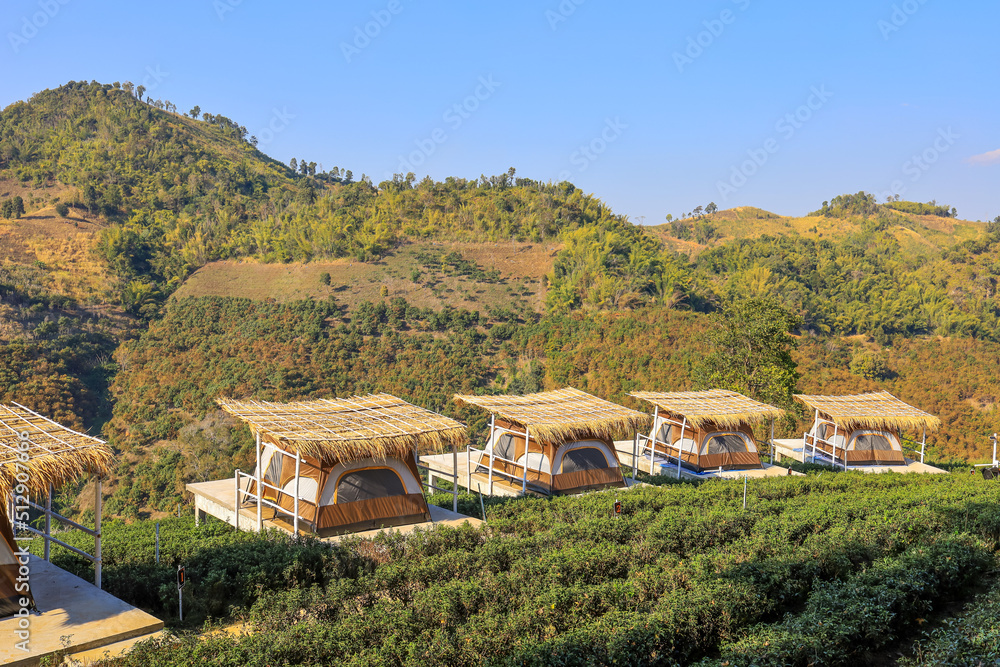 Tents for tourists and beautiful landscape at Wang Put Tan Tea Plantation,Doi Mae Salong,Chiang Rai province,Northern Thailand. Tents for tourists and beautiful landscape at Wang Put Tan Tea Plantation,Doi Mae Salong,Chiang Rai province,Northern Thailand.