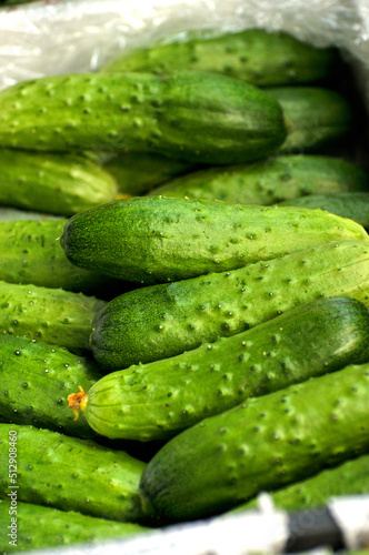 fresh cucumbers on the table
