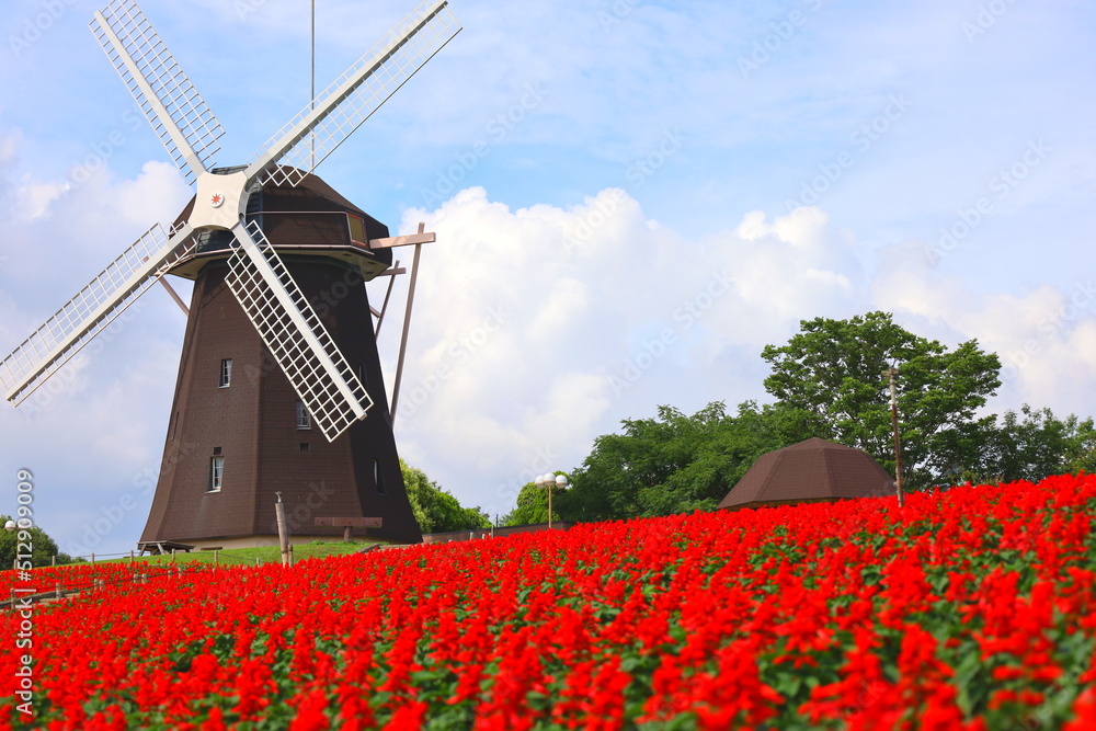windmill with red flowers