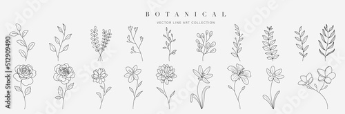 Set botanical hand drawn vector element. Collection of foliage, leaf branch, floral, flowers, roses, lily in line art. Minimal style blossom illustration design for logo, wedding, invitation, decor.