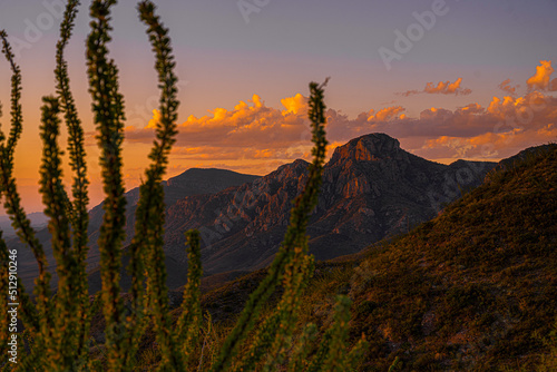 Amanecer en el desierto photo