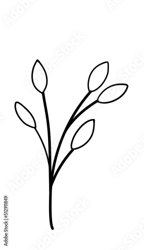 Leaves Line Art