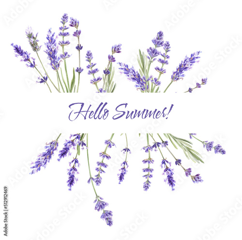 Watercolor illustration of lavender  floral frame. Provence illustration. isolated on white. Hello summer 