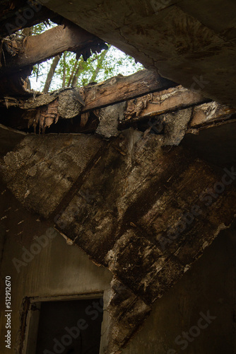 decomposing roof top