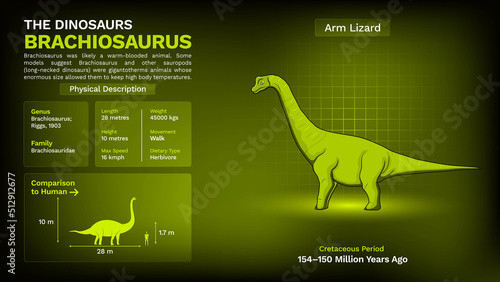 Description and Physical Characteristics of Brachiosaurus - Vector Illustration