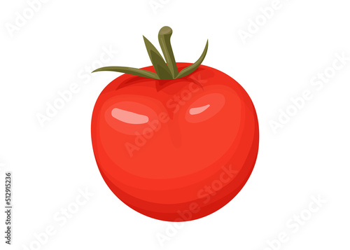 vector illustration of fresh tomato