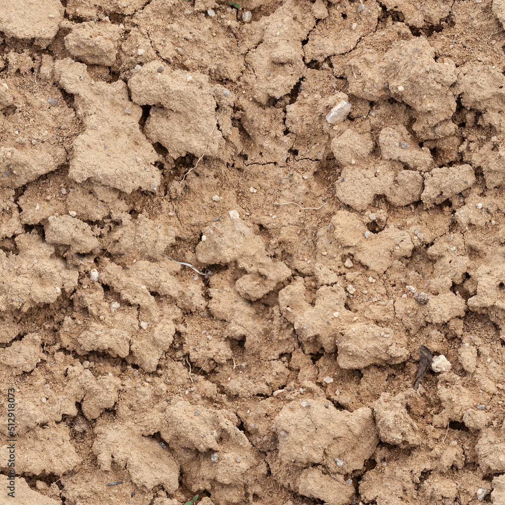Seamless natural dry earth and clay texture with large cells Seamless natural dry earth and clay texture with large cells