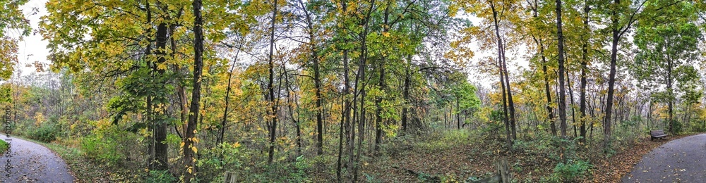Autumn park path and foliage panorama Autumn park path and foliage panorama