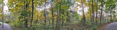 Autumn park path and foliage panorama