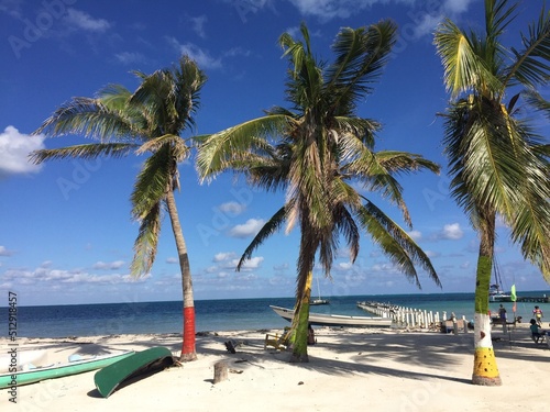 椰子の木が生える浜辺 © 良恵 上松