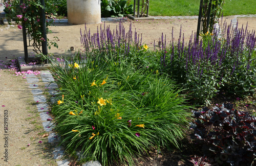 flowerbed on the promenade in the park with ornamental perennials. the edge is a curved curb of granite paving blocks. separates the flowerbed in the rectangle from the lawns